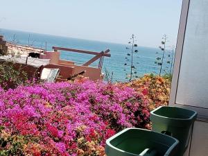 great appart with pool & surf