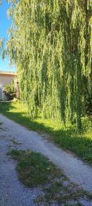 Maisons de vacances Studio au coeur de Buis-les-Baronnies : photos des chambres