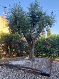 Appartements Studio entre Aix en Provence et Marseille et parking : photos des chambres
