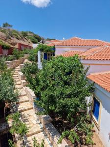 Stellas Houses