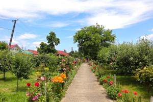 Accommodation Casa Luca