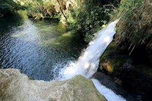 Villas Bastide hors du temps, Cedres centenaires et Fontaine - Provence : photos des chambres