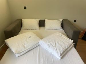 Apartman Mist - Bela Reka Kopaonik