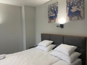 Apartman Mist - Bela Reka Kopaonik