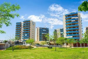 Norwegian Woods - Abedules