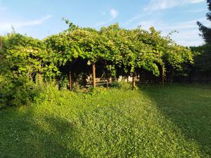 RIVER side - cosy - lot of space