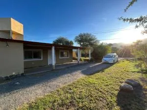 Olivares de Krishna - Coneta