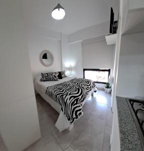 Francia I Monoambiente