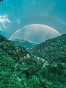 Doğadaki Büyük Eviniz Suit Apart 2+1