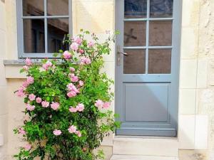 Maisons de vacances Gite de charme avec jardin au coeur des chateaux, WiFi, parking inclus - FR-1-381-543 : photos des chambres