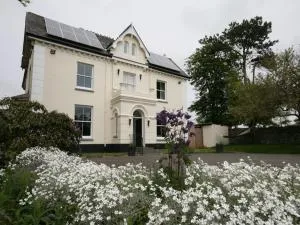 卡莫尔甘宾馆 - 卡迪根