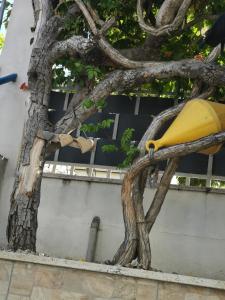 la baracca dei pescatori