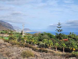 The Palm Villa rural beachside