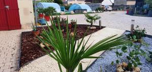 Villages vacances Gite La Belle Aventure avec piscine et jacuzzi : photos des chambres