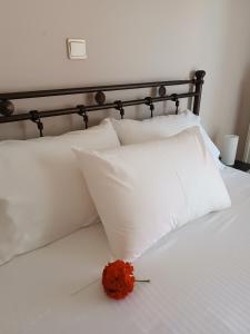 Central cosy family apartment