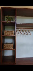 Wild Cassia