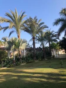 Condo in a Private Resort setting King Maryout Alamriyah Governorate Egypt Comes with an outdoor private infinity swimming pool with a large garden Borg Alarb International Airport is 15 minutes- Families Only