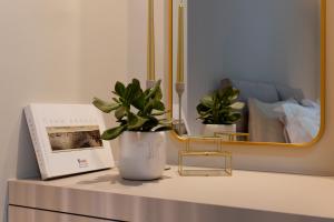 Acropolis Deluxe 1BR Apartment