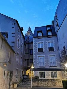 Appartements Loft de 53 m² quartier pieton de Blois, WIFI TV : photos des chambres