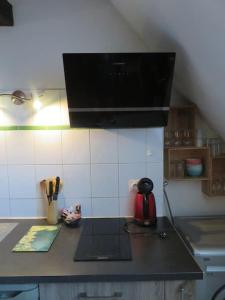 Appartements Loft de 53 m² quartier pieton de Blois, WIFI TV : photos des chambres