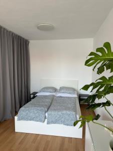 Apartmán ERUDITO XXVI centrum Jihlava