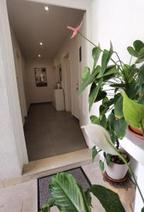 Apartment Jadranka