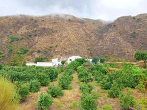 La Casita Azul - Casa típica andaluza