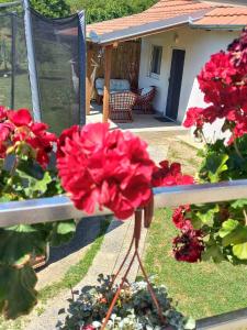 Apartman Flora Vrdnik