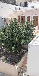 Captain Johns Apartment