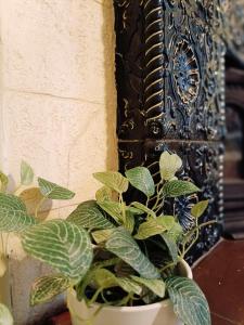 Riverside Old Town Spacious One Bedroom Apartment few steps from Dome square and Cathedral