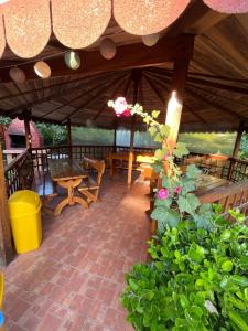 Casa Picu