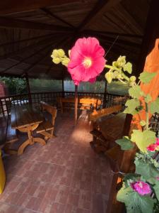 Casa Picu