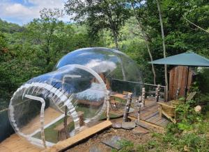 Maisons d'hotes Loz'aire naturelle : photos des chambres