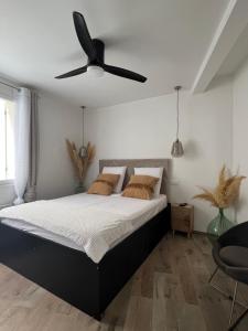 Appartements T2 centre ville Calvi : photos des chambres