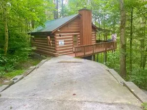 Bearadise - Red Bank