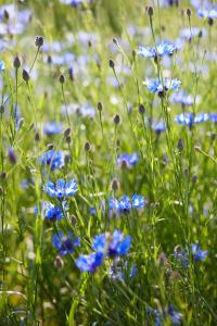 Relaîs & Châteaux Bij Jef