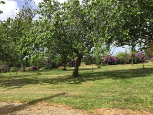 Maisons de vacances Gite Les Glycines 4/5 Personnes : photos des chambres