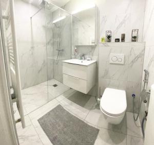 Appartement centreGare Proche de Genève