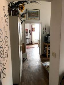 Large apartment in Rome city center