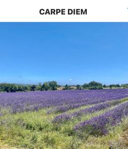 B&B / Chambres d'hotes « CARPE DIEM » : photos des chambres