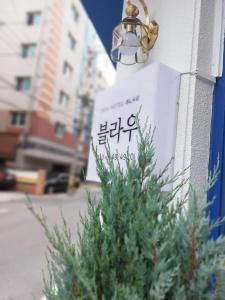BLAU Korean Local Experience Stay