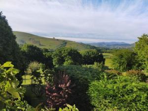 Maisons de vacances Au coeur du Pays Basque entre Mer et Montagne : photos des chambres