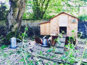 B&B / Chambres d'hotes Aubepine : photos des chambres