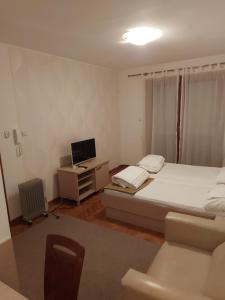 Apartman Sneznik