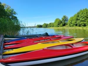 Borowe Chatki nad Lubiszewem