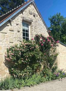 Maisons de vacances Cottage chaleureux avec jardin : photos des chambres