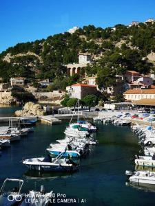 Appartements Gite de charme independant bord de mer calanque / Charming villa, seaside of the blue coast : photos des chambres