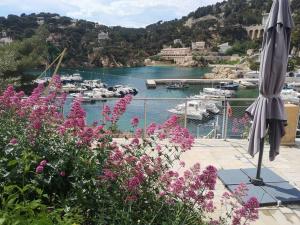 Appartements Gite de charme independant bord de mer calanque / Charming villa, seaside of the blue coast : photos des chambres