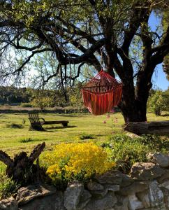 Villas Maison Barbarenque en Provence : photos des chambres