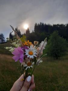 Tarska kuća za odmor